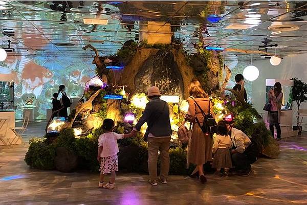 d70875-22-163345228f44b9377bda-3