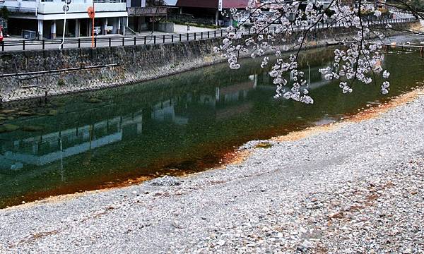 0106川湯春