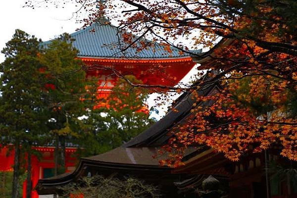 72477931_1334816606688048_5146606650202783744_n