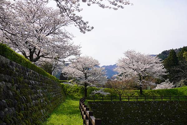 鹿野城跡公園　キム (8)