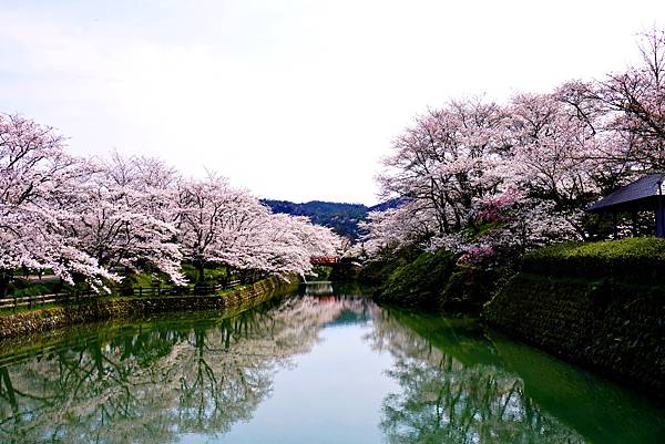 鹿野城跡公園