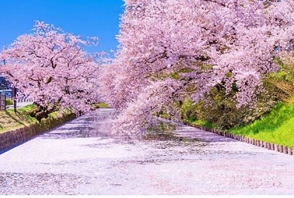 d7099-411-b7aef0db8a3483e22fa5-3