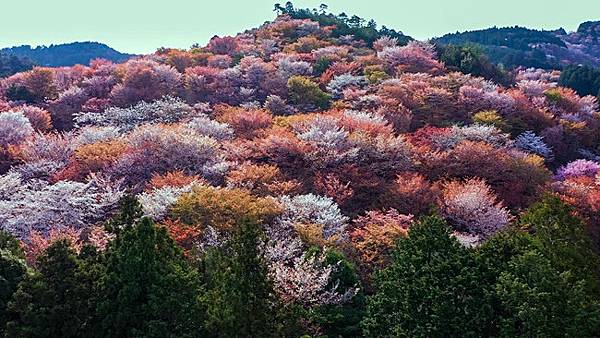 d53947-16-e225cacb27e06e3a2f37-2