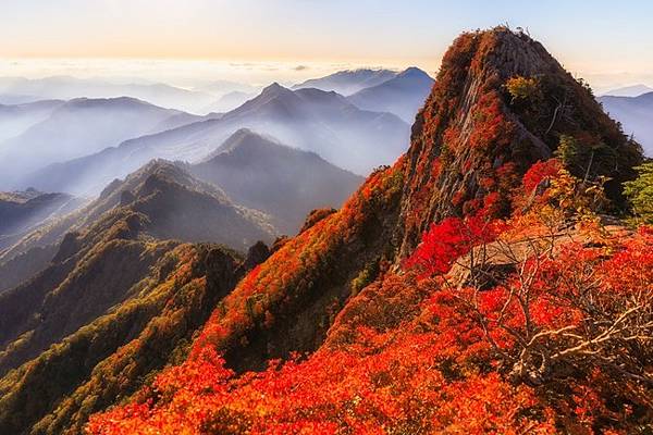 d11352-96-1e2fdd6a40867a68e8b1-9