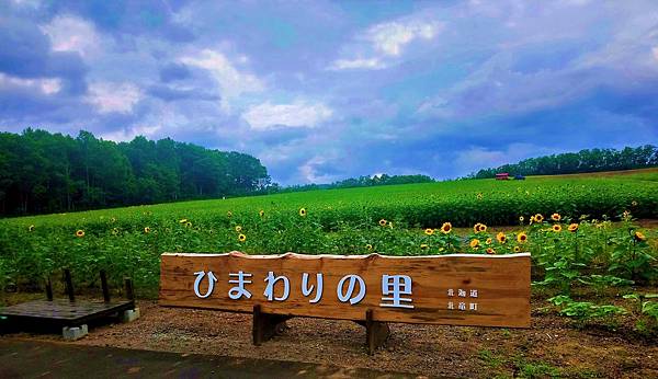 深川 南富良野  北龍町5天4夜之旅