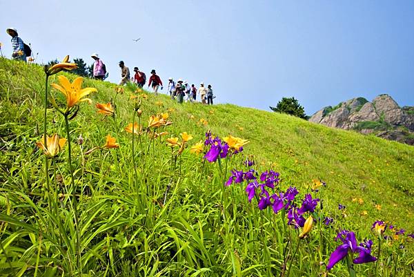 5015_三陸復興国立公園・種差海岸（トレッキング）