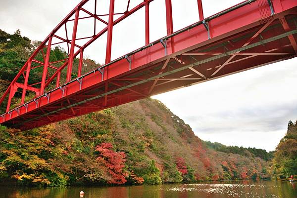 君津市  濃溝瀑布·龜岩洞窟  龜山湖