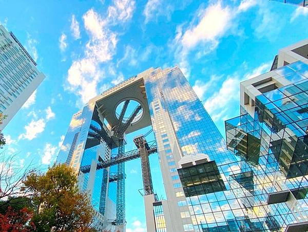 d63228-30-cad384ce44f726b1a755-8