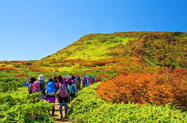 栃木紅葉名所精選