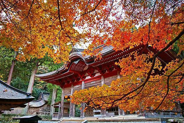 島根之秋  神在月  鱷淵寺  一畑藥師  淨善寺