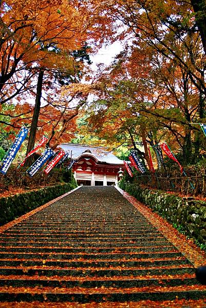 島根之秋  神在月  鱷淵寺  一畑藥師  淨善寺