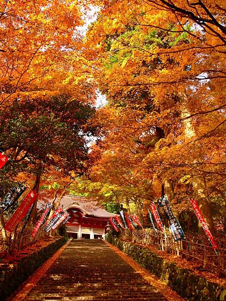 島根之秋  神在月  鱷淵寺  一畑藥師  淨善寺