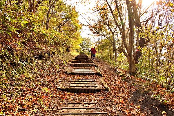 島根之秋  神在月  鱷淵寺  一畑藥師  淨善寺