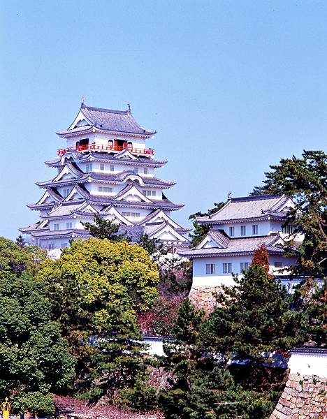 51903175004_39f9b23deb_h