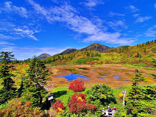 日本最早楓紅之地  旭岳    室堂平    八幡平  妙高