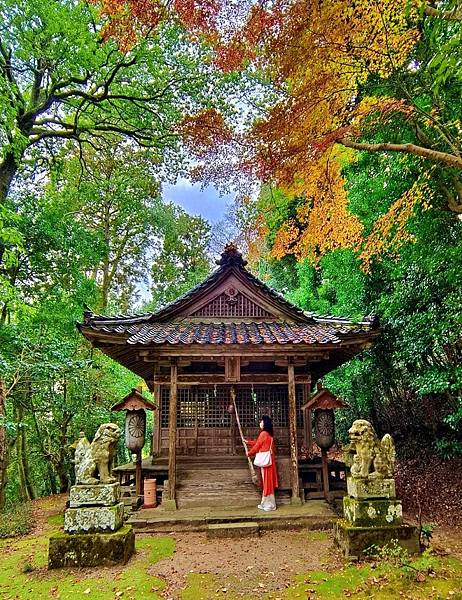 鳥取紅葉地圖