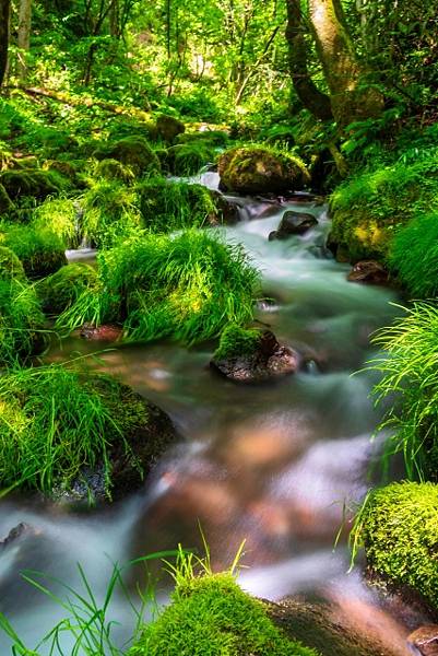 「伯耆富士」鳥取大山