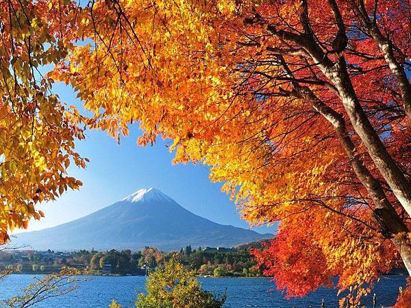 山中湖、河口湖紅葉祭