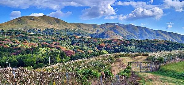 平尾台 日本三大喀斯特地形 自然體驗 洞窟探險