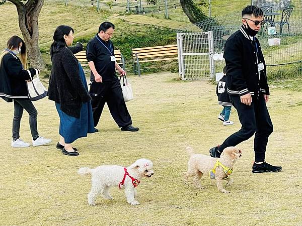 平尾台 日本三大喀斯特地形  自然體驗  洞窟探險