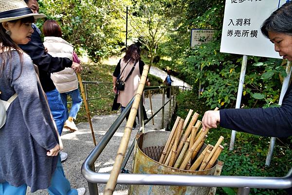 平尾台 日本三大喀斯特地形  自然體驗  洞窟探險