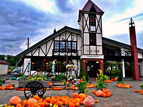 北海道賞楓 層雲峽 大沼國立公園 阿西里貝茲瀑布 新 北海道賞楓 層雲峽 大沼國立公園 阿西里貝茲瀑布 新