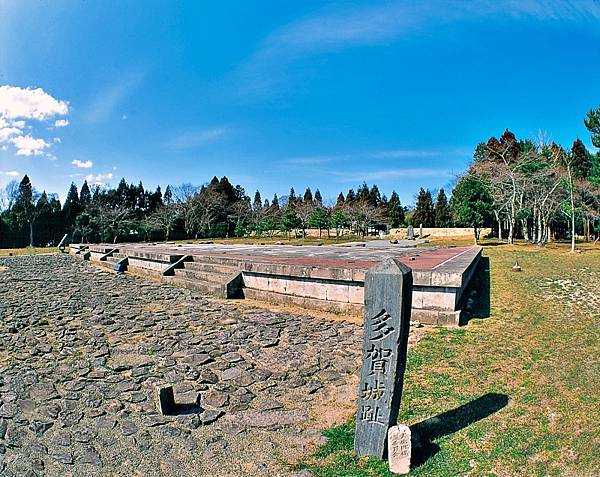 多賀城跡1300年紀念 菖蒲祭