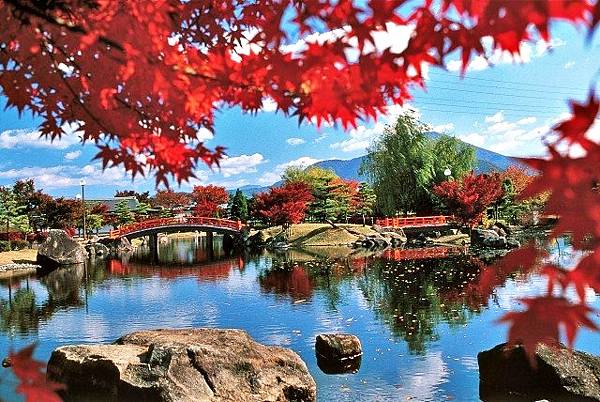 紫式部公園紅葉1