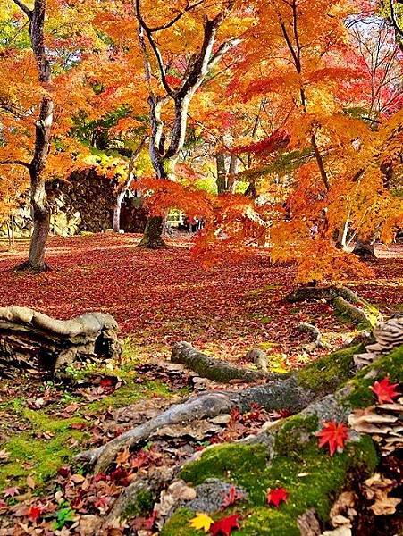 高原城下町 小諸市