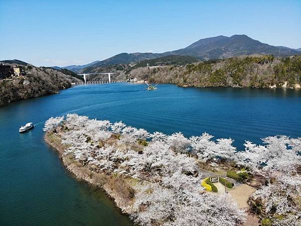 1.桜③壓縮-1030x772-1