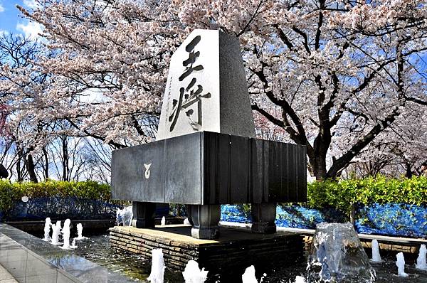 山形賞櫻 天童櫻花祭 馬見崎櫻花道 新井田川花見船 