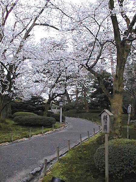 kenrokuen01.jpg