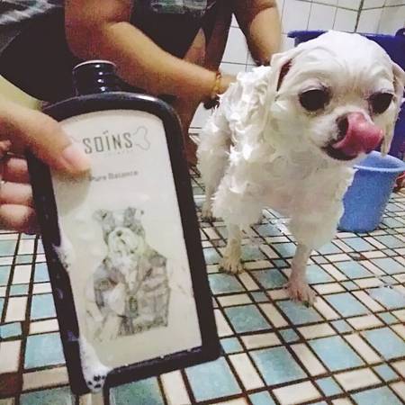 SOINS洗毛精_190612_0013.jpg 試用
