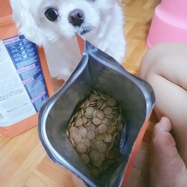 健康主義無穀犬糧_190701_0011.jpg 試用