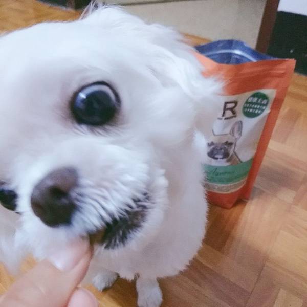 健康主義無穀犬糧_190701_0010.jpg 試用