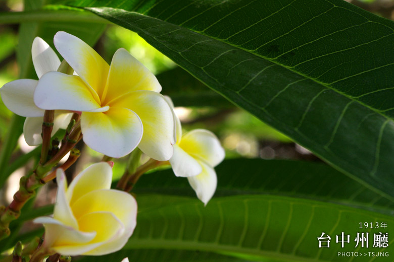 台中州廳 台中州廳