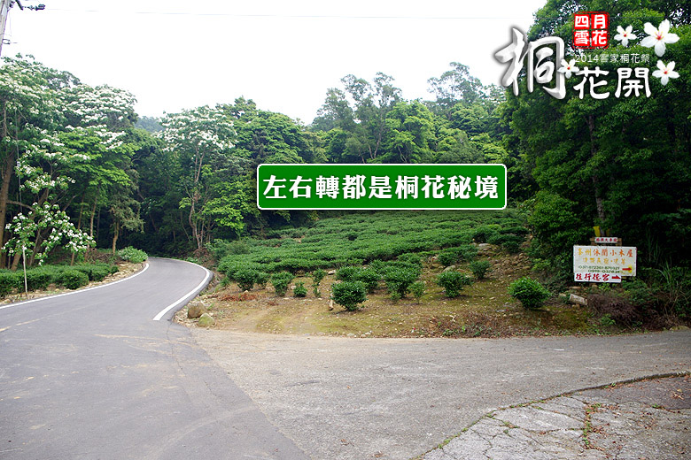 西湖 西湖