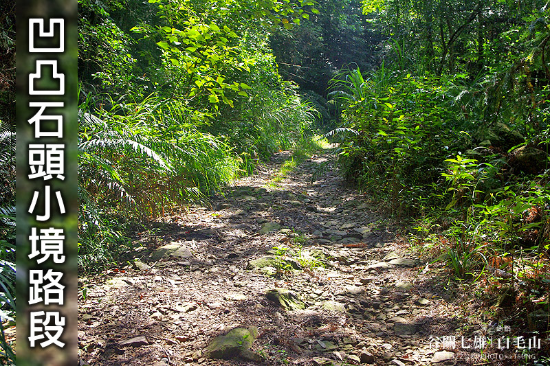 白毛山森林步道