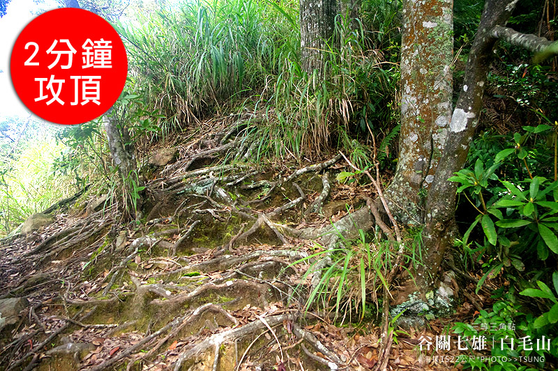 白毛山森林步道