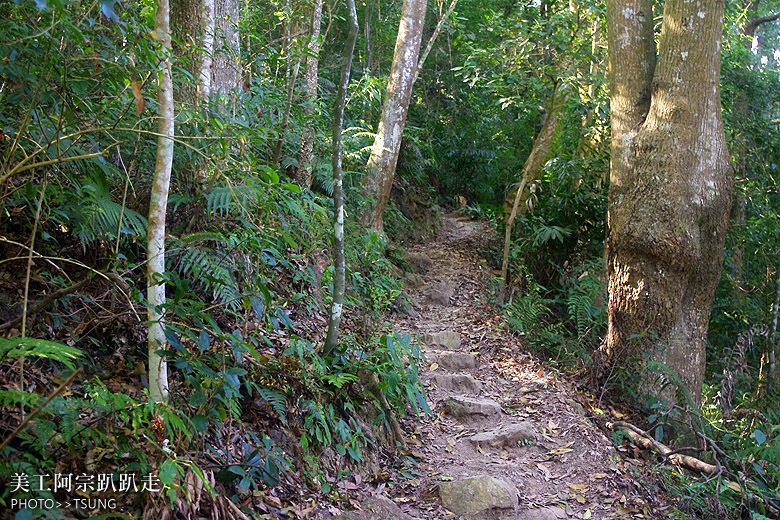 唐麻丹山