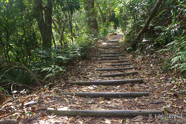 唐麻丹山