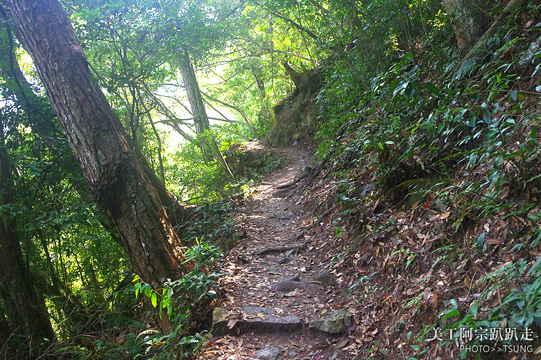 唐麻丹山