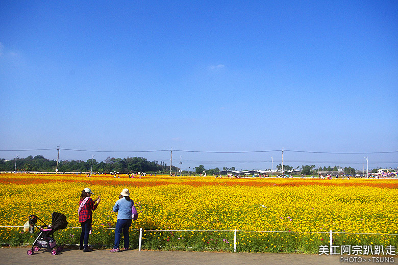 2014新社花海節