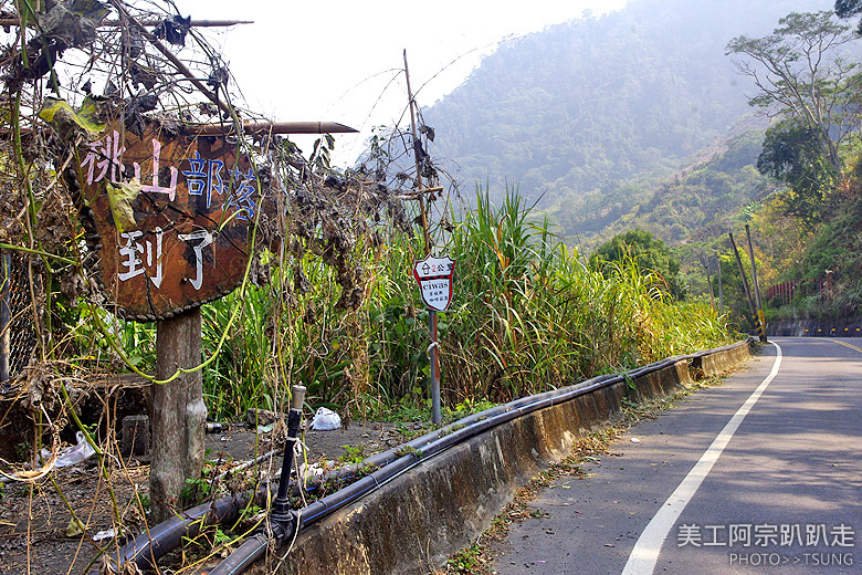 全台最大山蘇林秘境