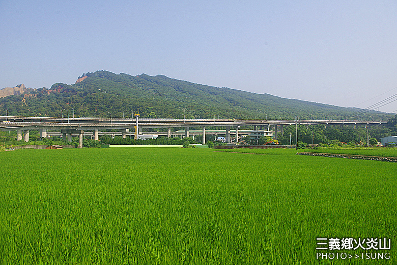 2016桐花季苗栗台中賞花景點