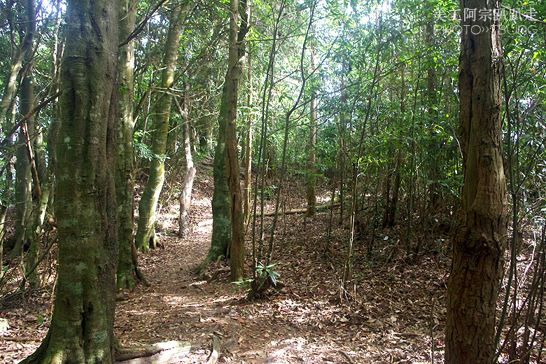 谷關七雄老三【屋我尾山】