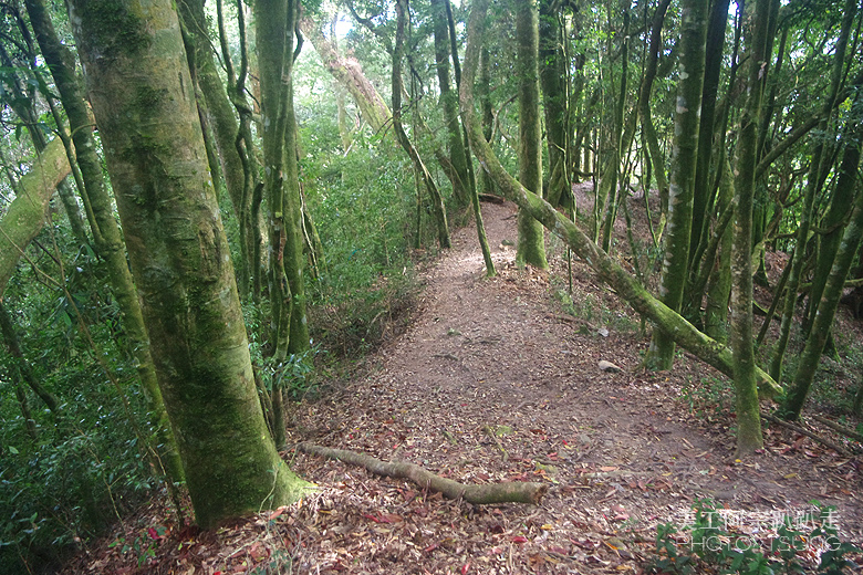 谷關七雄老三【屋我尾山】