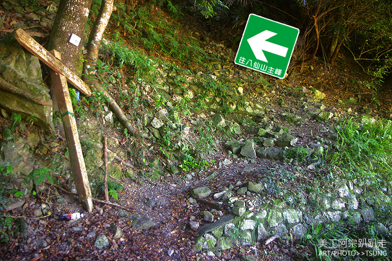 谷關七雄八仙山【松鶴線】