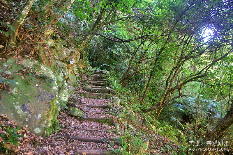 谷關七雄八仙山【松鶴線】