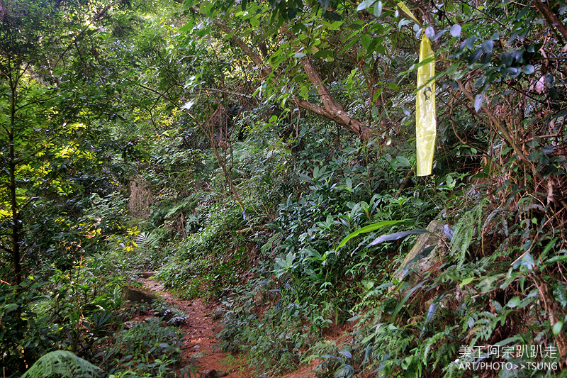 谷關七雄八仙山【松鶴線】